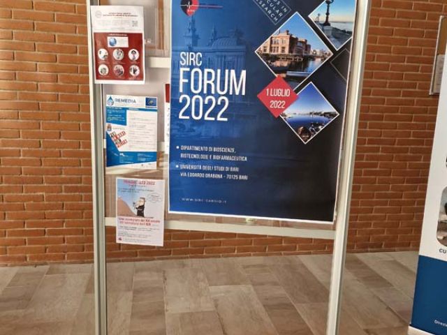 Sirc Forum 2022 (7)